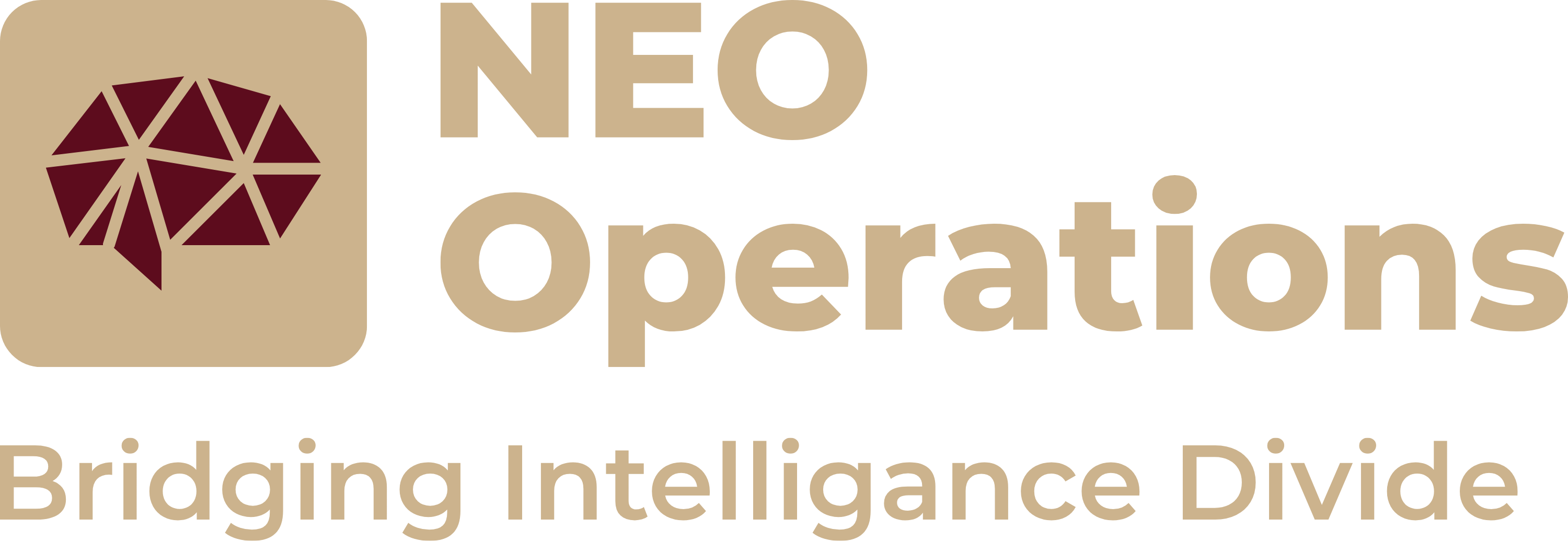 NEO Operations